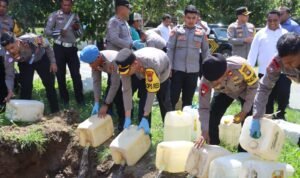 WhatsApp Image 2024-12-31 at 17.16.41