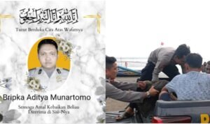 WhatsApp Image 2025-01-04 at 14.34.51