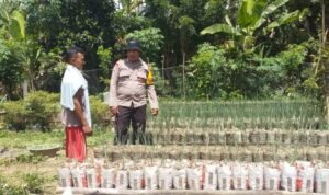 WhatsApp Image 2025-01-13 at 22.00.00