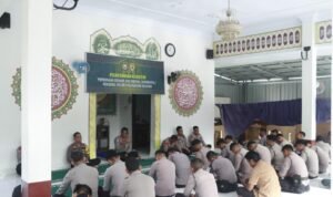 WhatsApp Image 2025-02-06 at 09.55.36