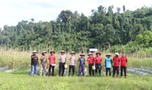 WhatsApp Image 2025-02-21 at 11.30.27