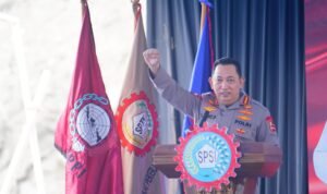 WhatsApp Image 2025-02-26 at 15.18.56