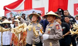 WhatsApp Image 2025-02-26 at 16.08.08