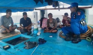 WhatsApp Image 2025-02-27 at 10.55.53