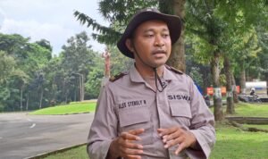 WhatsApp Image 2025-03-08 at 15.13.53