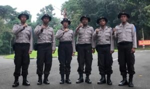 WhatsApp Image 2025-03-08 at 15.14.03