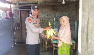 WhatsApp Image 2025-03-12 at 15.35.10 (1)