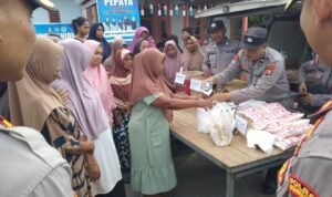 WhatsApp Image 2025-03-12 at 21.50.01