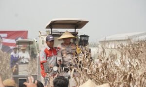 WhatsApp Image 2025-03-27 at 13.05.19