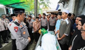 WhatsApp Image 2025-03-27 at 15.01.15