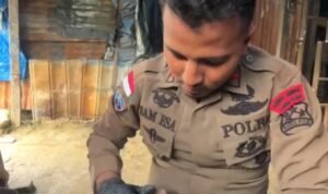 WhatsApp Image 2025-04-06 at 16.37.15