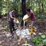 WhatsApp Image 2025-09-22 at 18.43.16