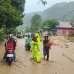 WhatsApp Image 2025-10-02 at 12.00.55