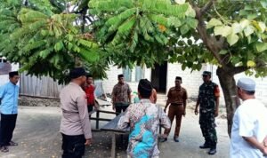 WhatsApp Image 2025-10-14 at 10.29.01