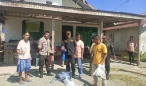 WhatsApp Image 2025-10-14 at 14.15.42