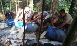 WhatsApp Image 2025-10-20 at 21.50.10