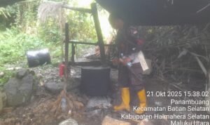 WhatsApp Image 2025-10-21 at 19.16.14