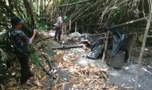 WhatsApp Image 2025-10-22 at 14.47.05