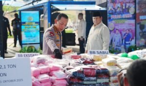 WhatsApp Image 2025-10-29 at 16.40.04