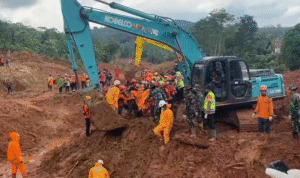 Screenshot 2025-11-19 073503