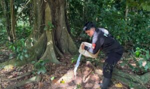 WhatsApp Image 2025-11-11 at 18.44.56