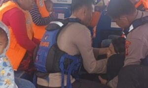 WhatsApp Image 2025-11-11 at 19.22.49