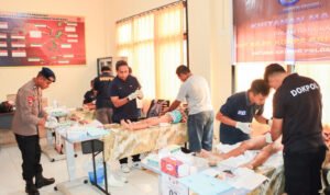 WhatsApp Image 2025-11-12 at 10.51.51