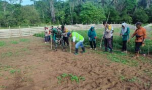 WhatsApp Image 2025-11-13 at 09.39.17