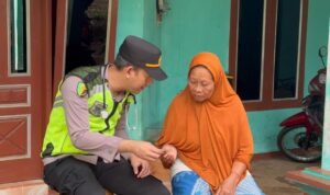 WhatsApp Image 2025-11-16 at 16.59.17