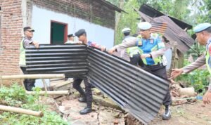 WhatsApp Image 2025-11-17 at 15.27.24