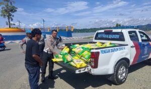 WhatsApp Image 2025-11-26 at 12.01.39