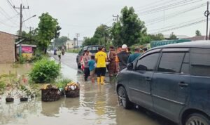 WhatsApp Image 2025-11-29 at 19.34.29