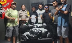 b2733fc8-8b33-4de4-abe8-941e124332d6