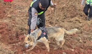 dca51d9f-fa30-4a23-bab5-a31742fb9224