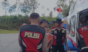 Screenshot 2025-12-01 125829