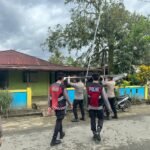 WhatsApp Image 2025-12-08 at 14.07.38