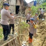 WhatsApp Image 2025-12-09 at 16.43.52