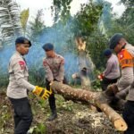 WhatsApp Image 2026-01-07 at 11.57.30