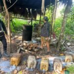 WhatsApp Image 2026-02-02 at 08.53.12