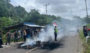 WhatsApp Image 2026-02-13 at 19.48.56