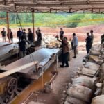 WhatsApp Image 2026-03-02 at 03.17.49