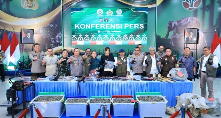 WhatsApp Image 2026-03-03 at 22.17.17