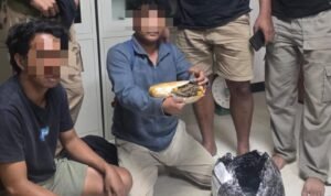 WhatsApp Image 2026-03-17 at 13.11.25