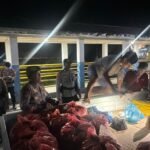 fff18cbc-fff1-41a5-ab23-9533841efbd5