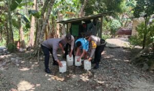 WhatsApp Image 2026-04-06 at 14.51.09