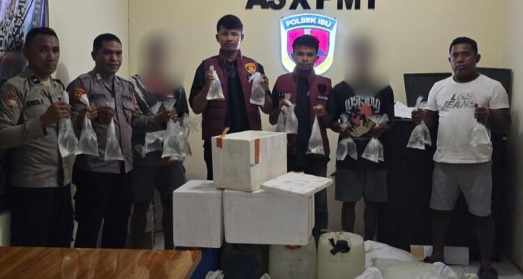 WhatsApp Image 2026-07-20 at 06.34.20