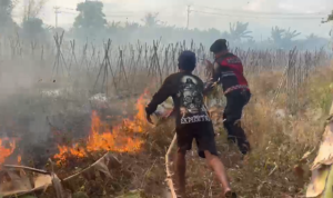 Screenshot (144)